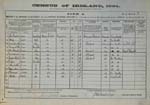 1901 census return for the Joyce family