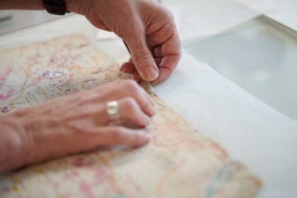 Image person studying map